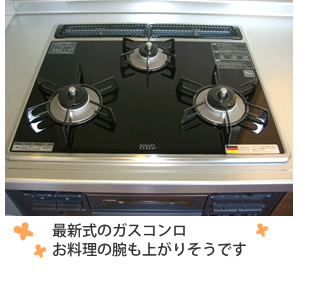 富山県の便利屋・リフォーム：ライフサービス／リフォーム／最新式のガスコンロ。お料理の腕も上がりそうです